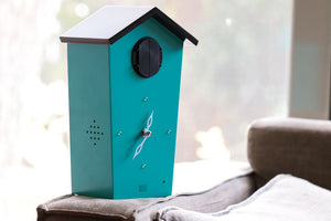 Cuckoo Clock - Aqua Limited Edition