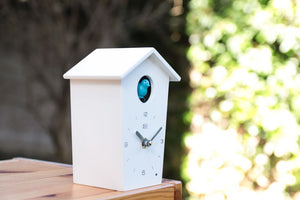 Birdhouse mini