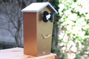 Cuckoo Clock - Gold Limited Edition